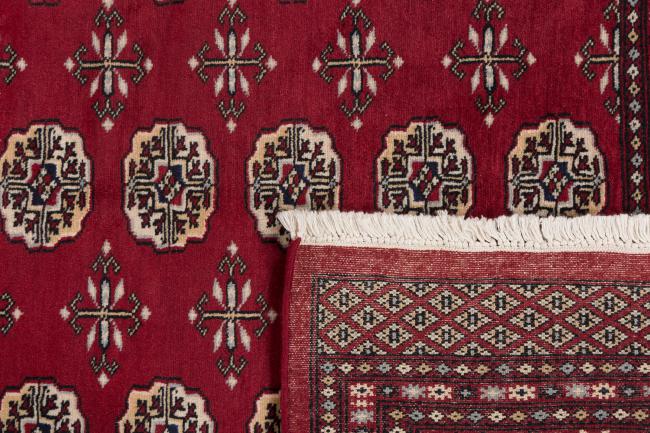 Afghan Mauri - 6