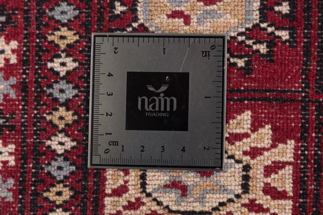 Afghan Mauri - 8