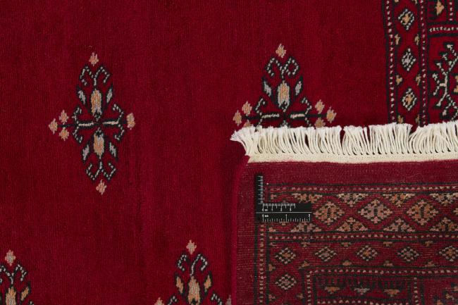 Pakistan Buchara 2ply - 1