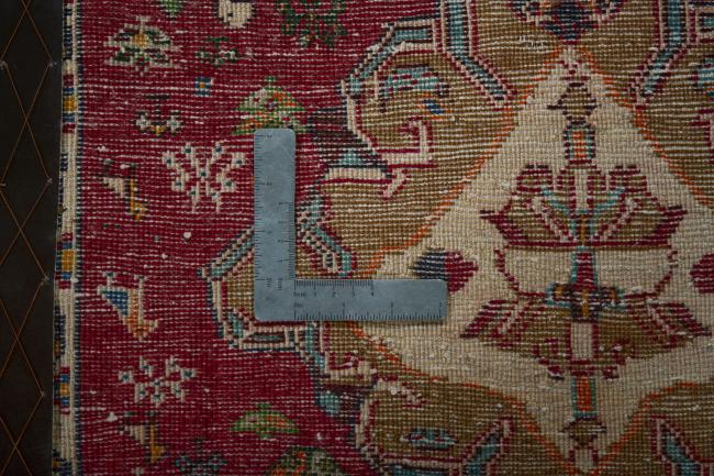 Shiraz - 4