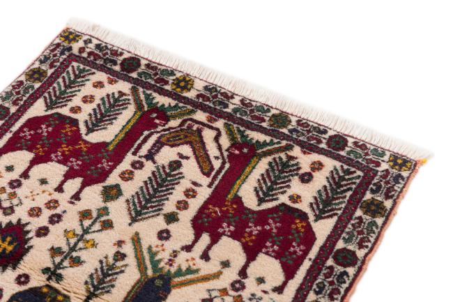 Shiraz - 3