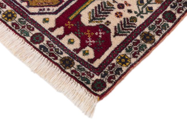 Shiraz - 4