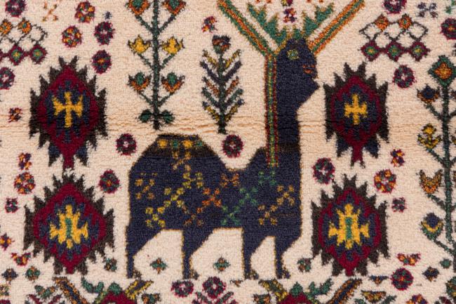 Shiraz - 6