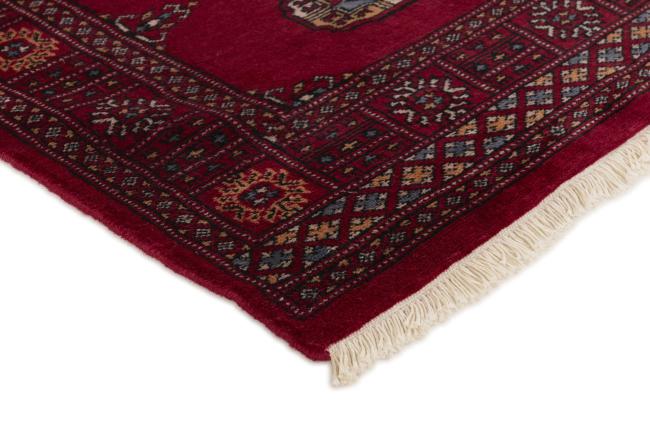 Pakistan Buchara 2ply - 3