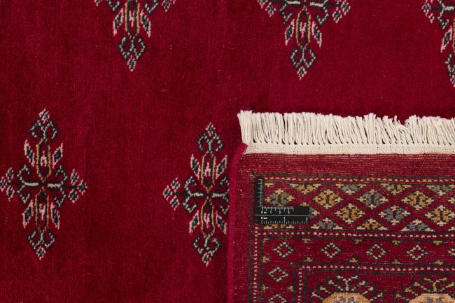 Pakistan Buchara 2ply - 1