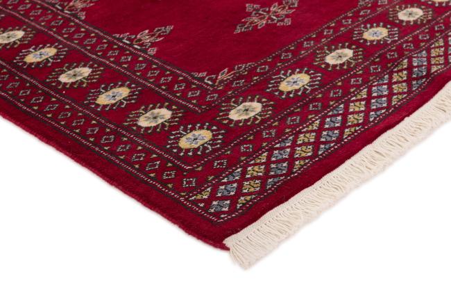 Pakistan Buchara 2ply - 3