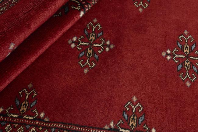 Pakistan Buchara 3ply - 2