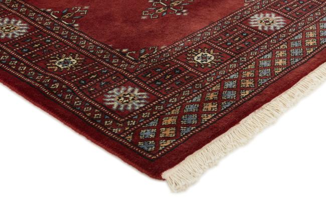 Pakistan Buchara 3ply - 3