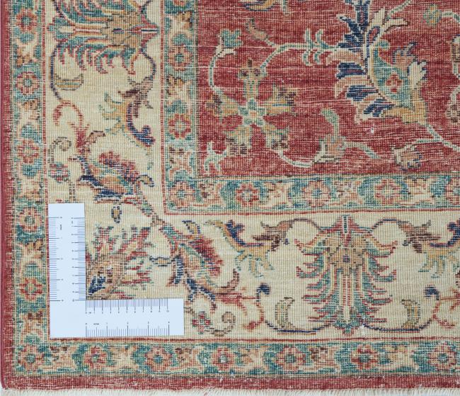 Ziegler Farahan - 8