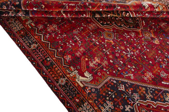 Shiraz - 8
