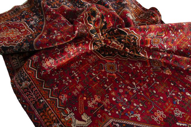 Shiraz - 9