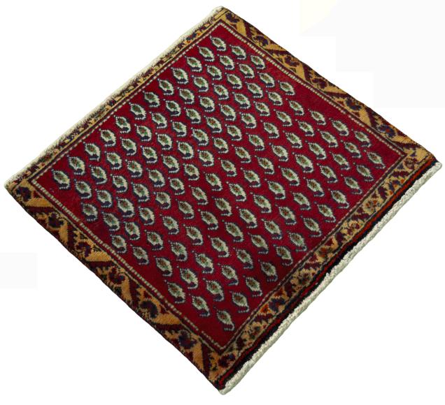 Shiraz - 2