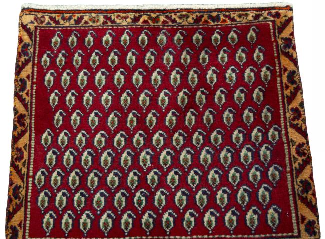 Shiraz - 3