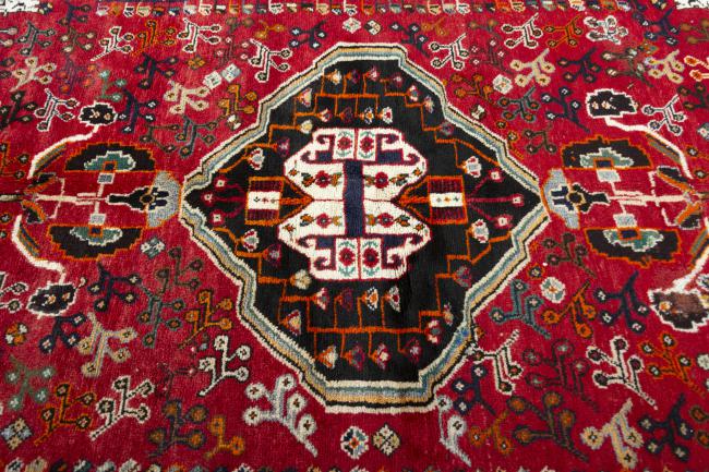 Shiraz - 5