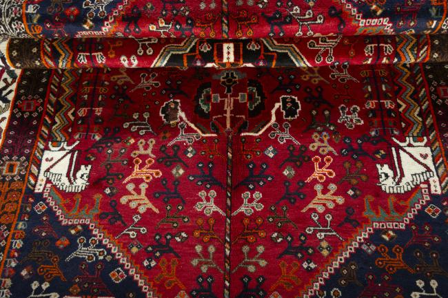 Shiraz - 8