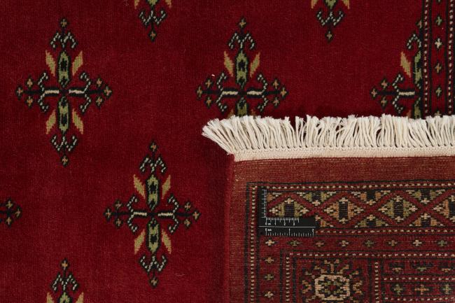 Pakistan Buchara 2ply - 1