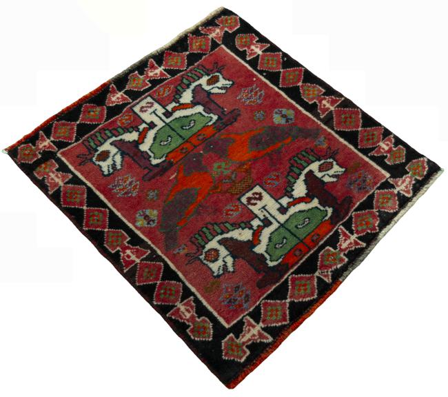 Shiraz - 2