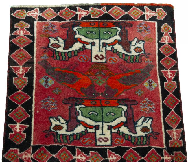 Shiraz - 3