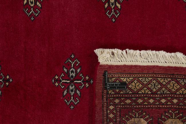 Pakistan Buchara 2ply - 1