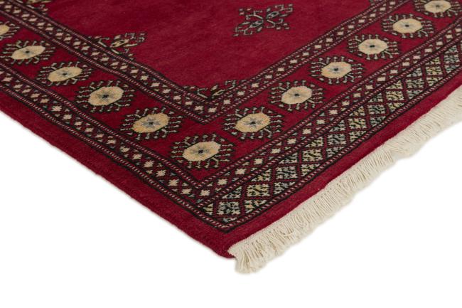 Pakistan Buchara 2ply - 3