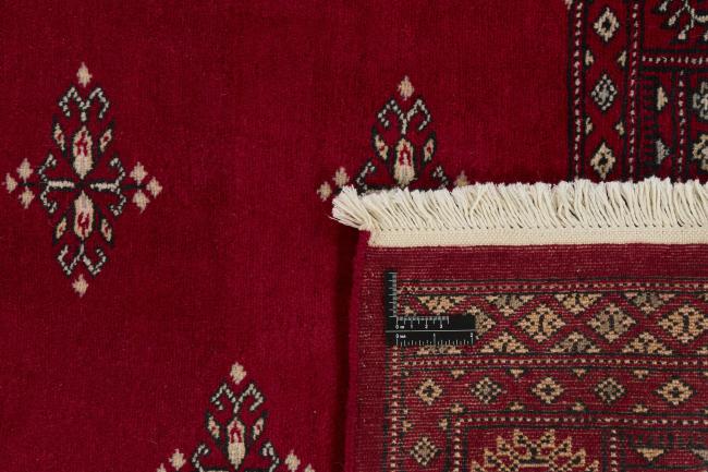 Pakistan Buchara 2ply - 1