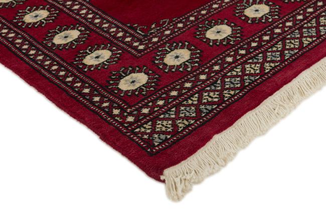 Pakistan Buchara 2ply - 3