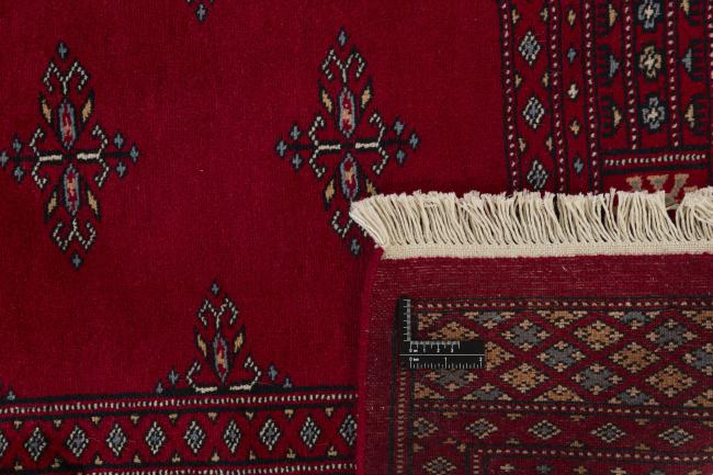 Pakistan Buchara 2ply - 1