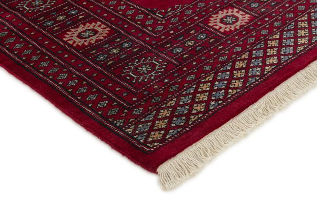 Pakistan Buchara 2ply - 3
