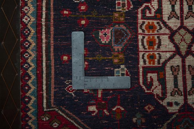 Shiraz - 4