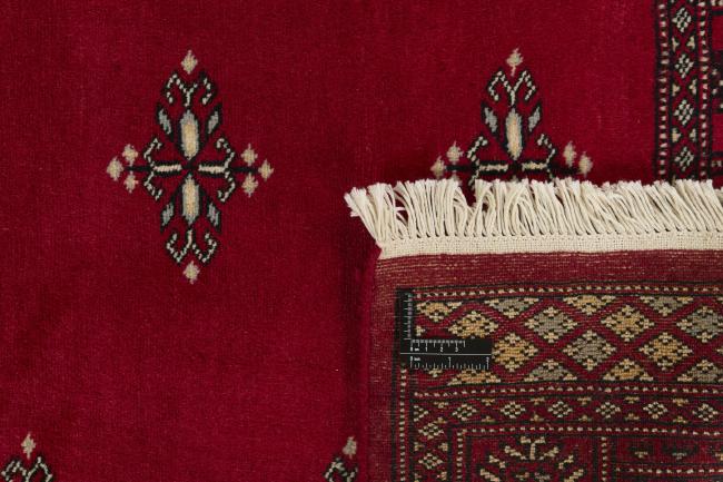 Pakistan Buchara 2ply - 1