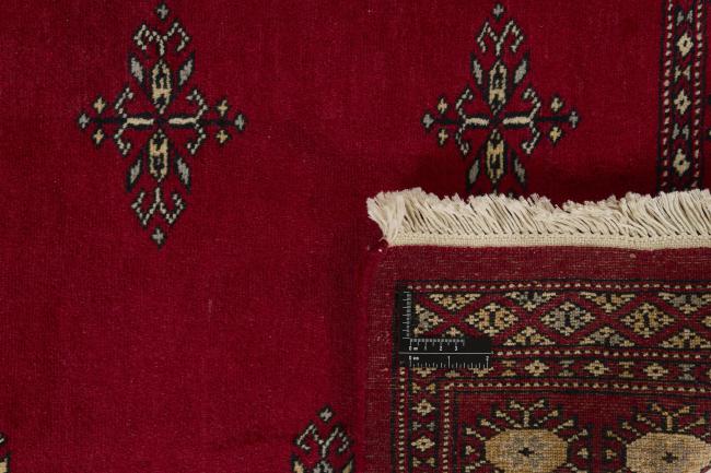 Pakistan Buchara 2ply - 1