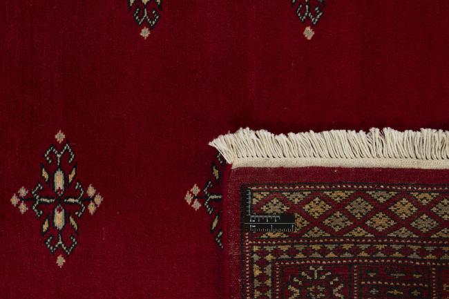 Pakistan Buchara 2ply - 1