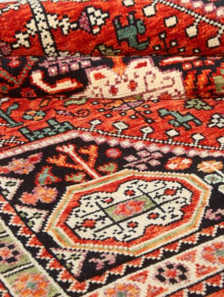 Arijana Ghashghai - 1