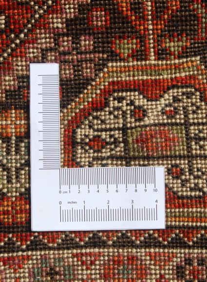 Arijana Ghashghai - 2