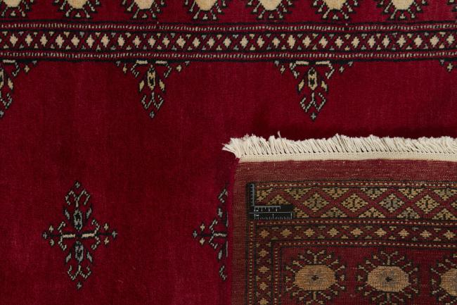 Pakistan Buchara 2ply - 1