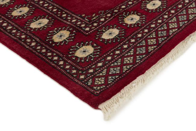 Pakistan Buchara 2ply - 3