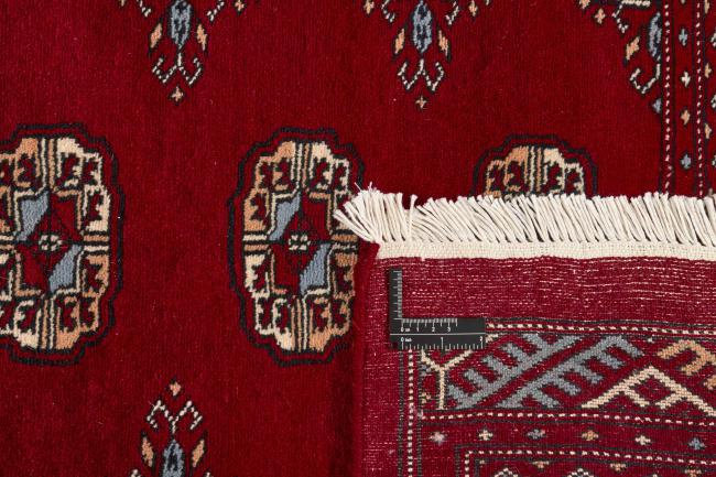 Pakistan Buchara 3ply - 1