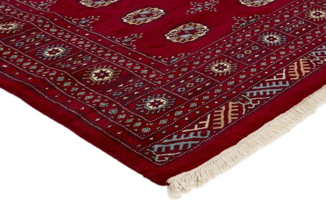 Pakistan Buchara 3ply - 3