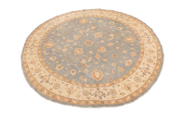 Ziegler Farahan - 2