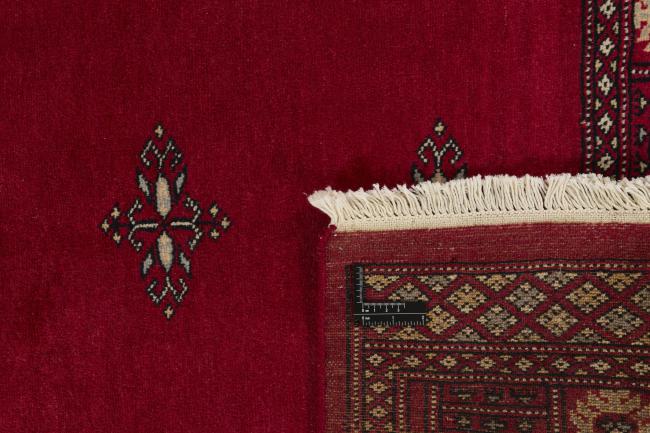 Pakistan Buchara 2ply - 1