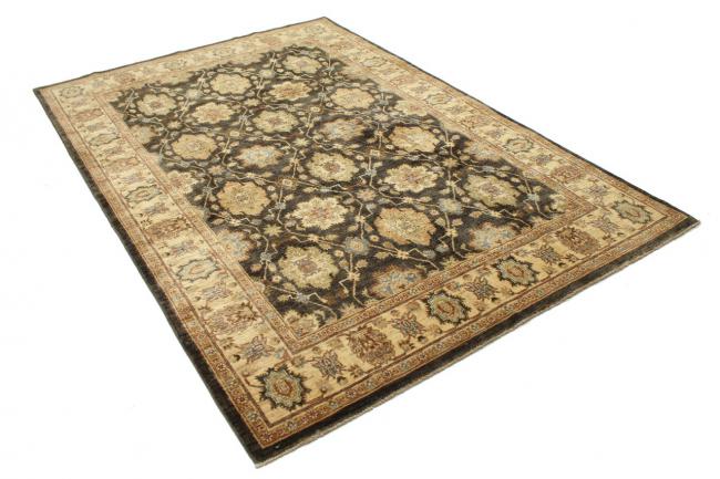 Ziegler Farahan - 3