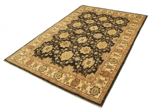 Ziegler Farahan - 6