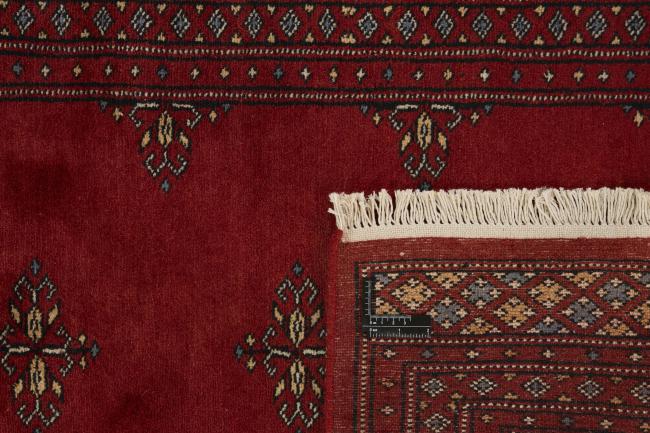 Pakistan Buchara 2ply - 1