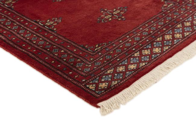 Pakistan Buchara 2ply - 3