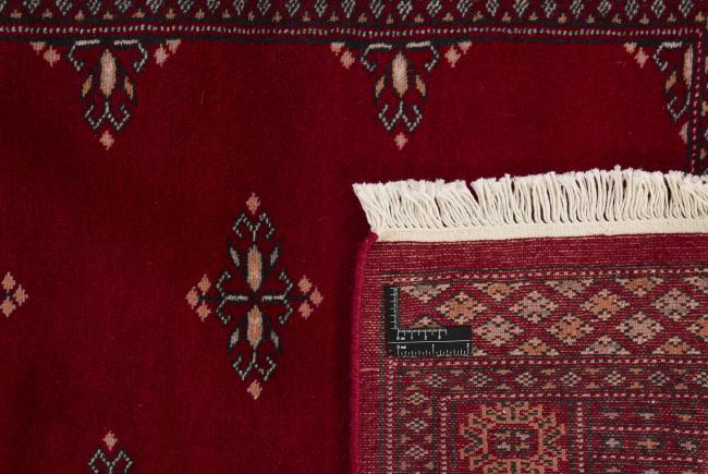 Pakistan Buchara 2ply - 1