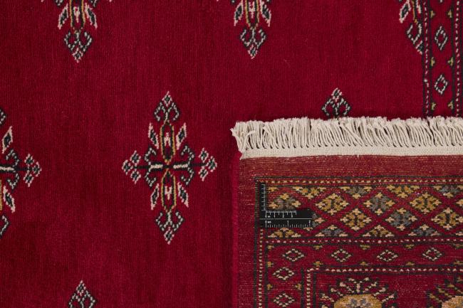 Pakistan Buchara 2ply - 1