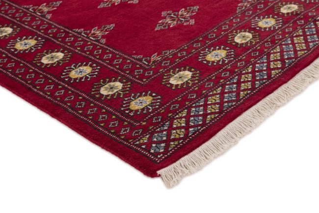 Pakistan Buchara 2ply - 3