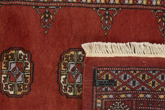 Pakistan Buchara 3ply - 1