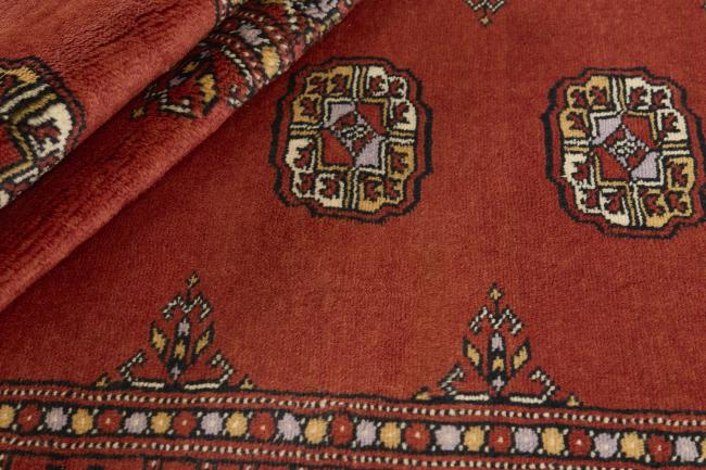 Pakistan Buchara 3ply - 2