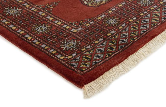 Pakistan Buchara 3ply - 3